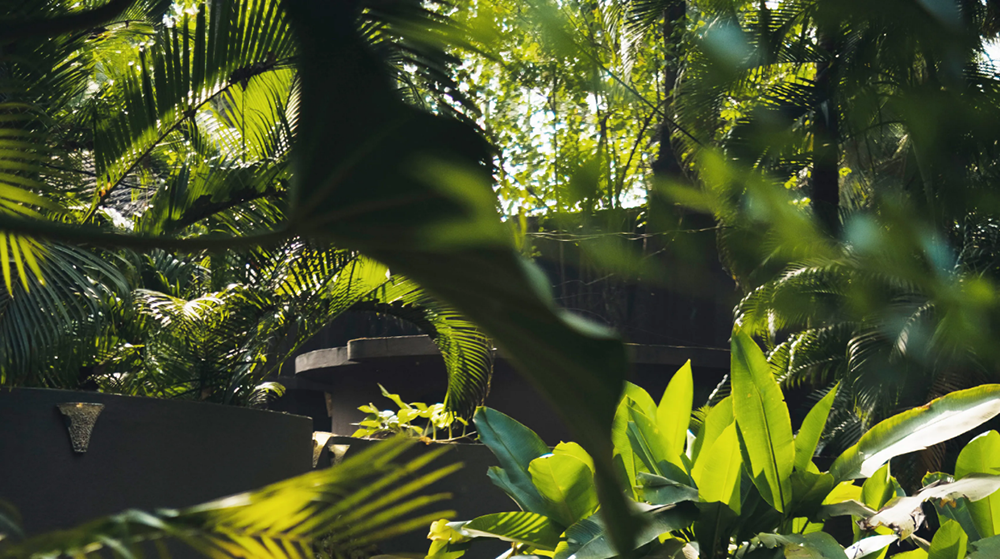 PROMENADE TO PRIVATE NATURE