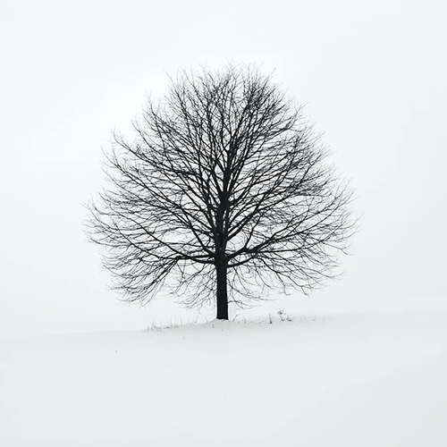 라브르27 사업안내